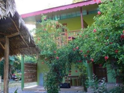 Blue Conga Hotel Puerto Viejo de Talamanca Exterior photo