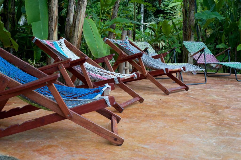 Blue Conga Hotel Puerto Viejo de Talamanca Exterior photo